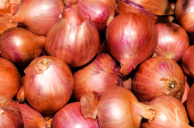 Photo onions bulp