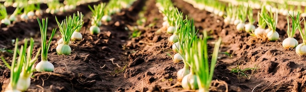 Onions growing in the garden field Generative AI