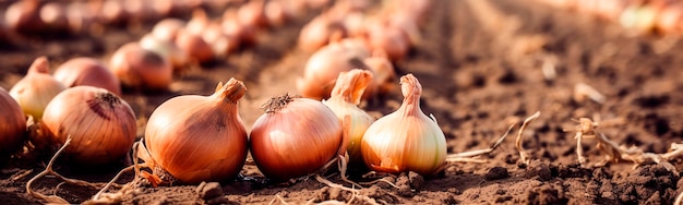 Onions growing in the garden field Generative AI