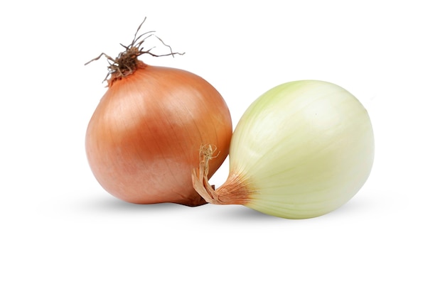 Onions isolated on a white background