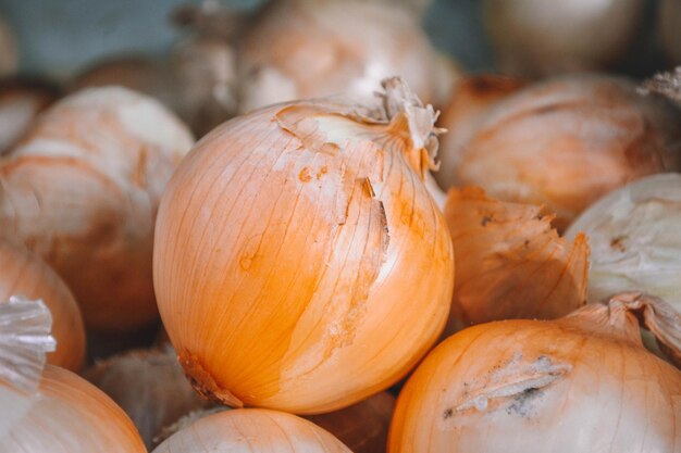 Photo onions on market sale