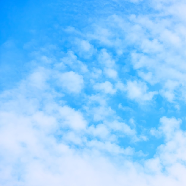 Only blue sky with small white fleecy clouds. Background with space for text, square cropping