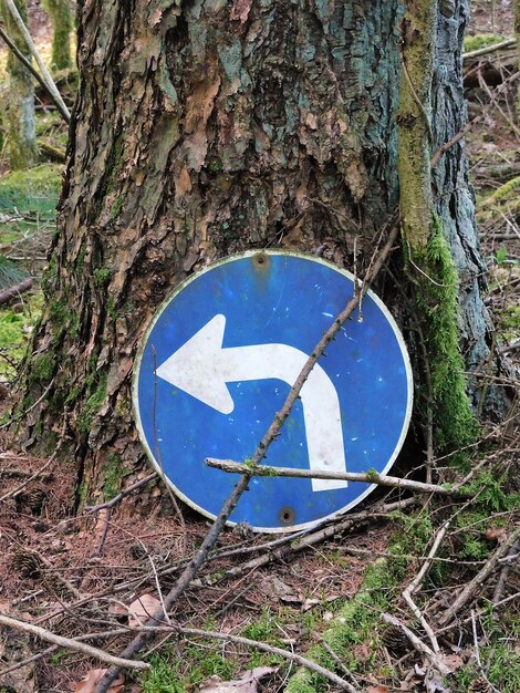 Foto solo a sinistra girando nel bosco