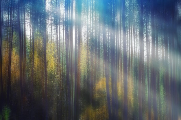 onscherpe achtergrond herfst natuur landschap, abstract vervagen bokeh uitzicht op herfstbomen