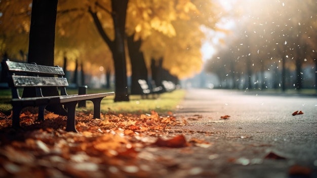 Onscherpe achtergrond toont een herfstpark