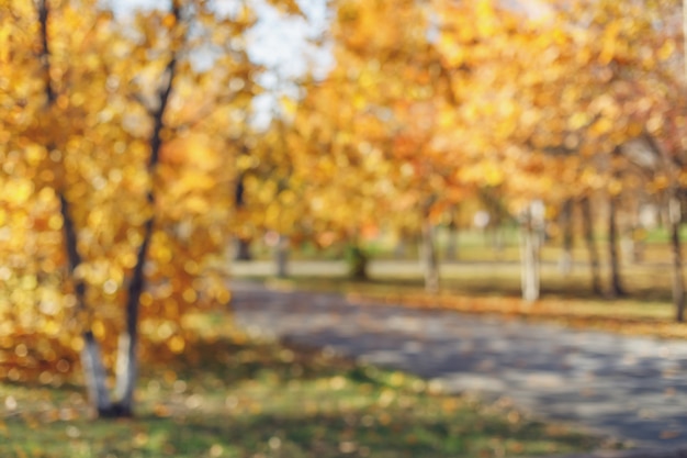 Onscherpe achtergrond van herfst park met bokeh. Onscherpe weergave