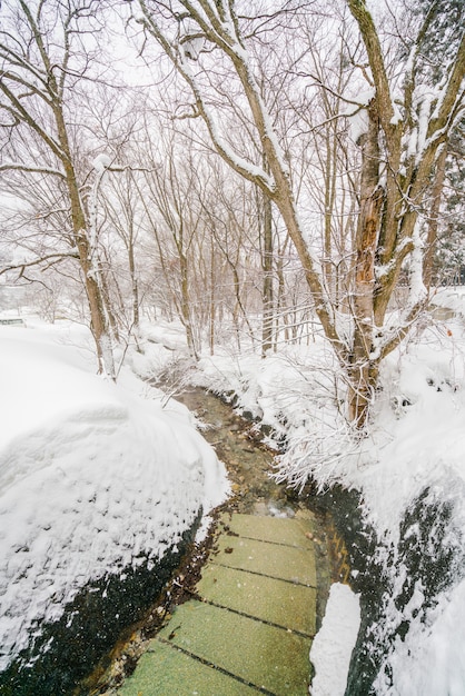 Foto il fiume onsen scorre attraverso la città in giappone