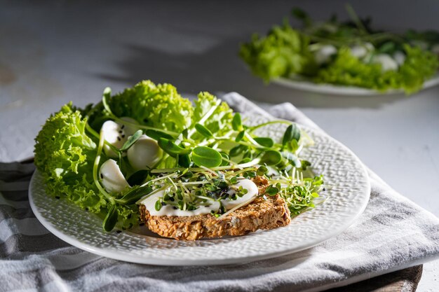 Ontbijt met microgreen op een bord Brood toast mozzarella kaas roomsaus Voedsel met groene spruiten van microgroen Gezond dieet Eenvoudig eten Salade met zonnebloemspruiten rucola radijs mosterd