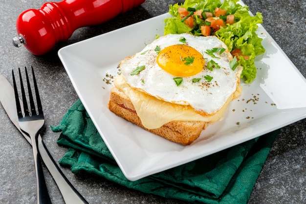 Ontbijt. Warm broodje. Broodje croque mevrouw. Traditionele Franse keuken. Ruimte kopiëren.