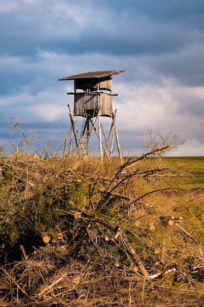 Ontbossingsscène met een houten jachttoren in landelijk landschap