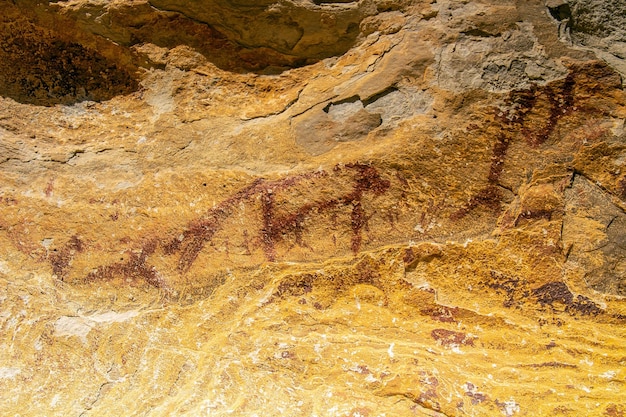 Ontdekking van de oude rode okerschilderingen op de stenen van Jebel Ousselat in Centraal Tunesië