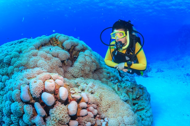 Ontdekking van de schoonheid van de onderwaterwereld Rode Zee