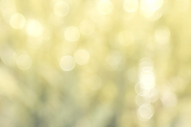 Foto ontfocusd beeld van lensflare