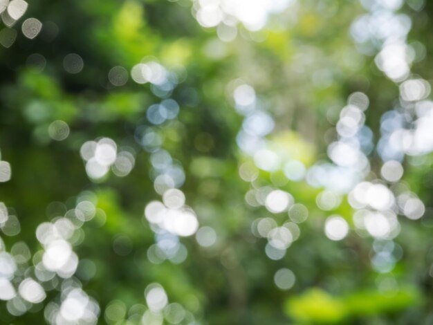 Foto ontfocusd beeld van verlichte planten