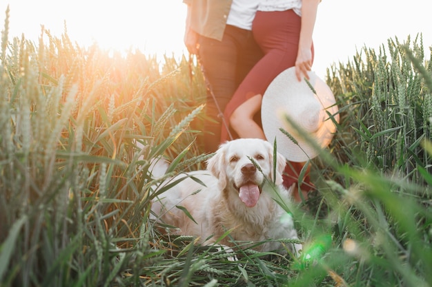 Ontroerende momenten van gelukkige verwachting van nieuw leven. Wandelen in de natuur met hond. Jong zwanger paar. Zwangere vrouw. Familie en zwangerschap. Liefde en tederheid. Geluk en sereniteit.