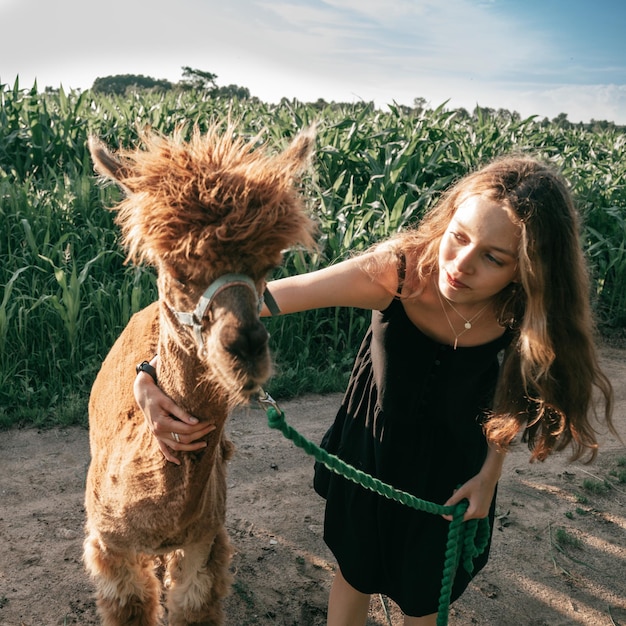 Ontroerende momenten van vriendschap tussen tienermeisje met lang golvend haar en jonge schattige jonge alpaca. Agrotoerisme. Natuurlijke materialen. Prachtige dieren. Vakanties voor kinderen. Vakanties.