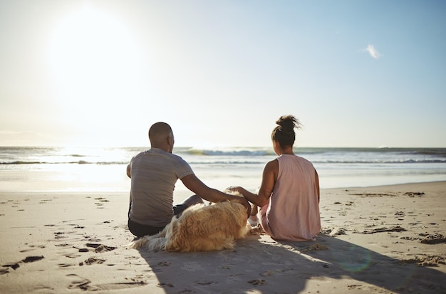 Ontspan hond en blij met paar op het strand voor vrede zomer- en zonsondergangvakantie Hou van ondersteuning en reis met man en vrouw met huisdier over de oceaan voor natuurgezondheid en datum of vakantie samen