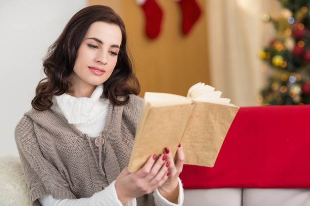 Ontspannen donkerbruine lezing op de laag bij Kerstmis