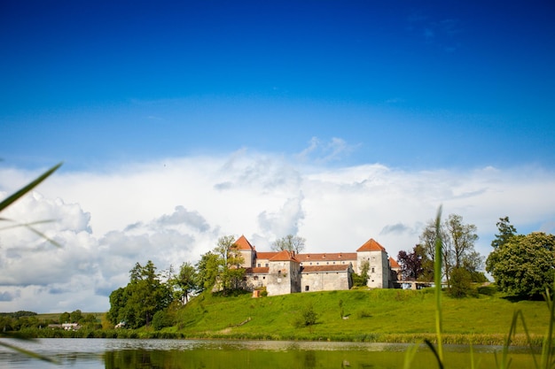 Onvergelijkbaar uitzicht op de heldere zomerse natuur en het oude kasteel op de heuvel aan de rivier