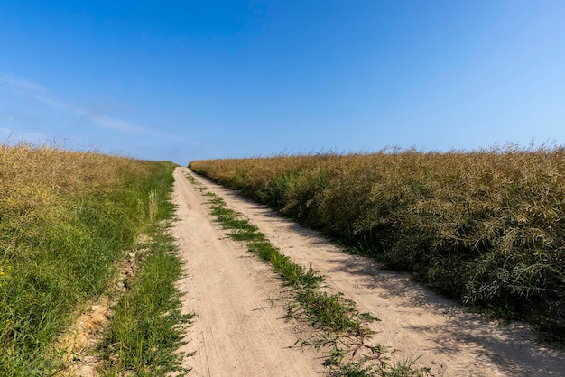 Onverharde snelweg in landelijke gebieden