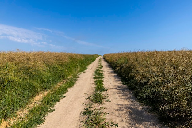 Foto onverharde snelweg in landelijke gebieden