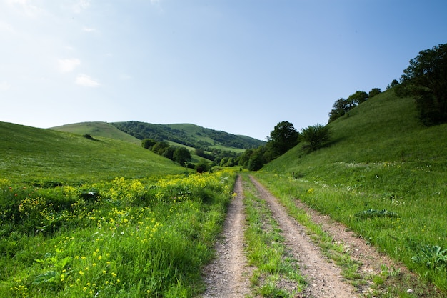 Onverharde weg die leidt naar het bos