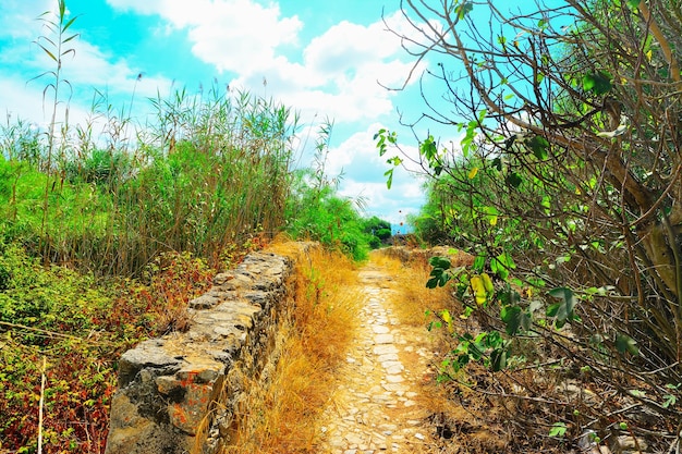 Onverharde weg in Calik lagune Sardinië