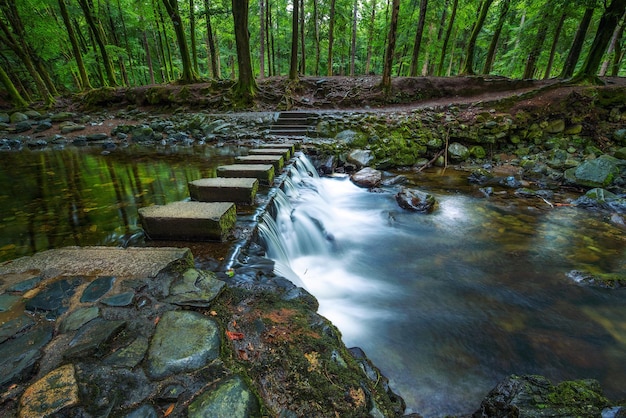 Onverharde weg in het Tollymore Forest Park