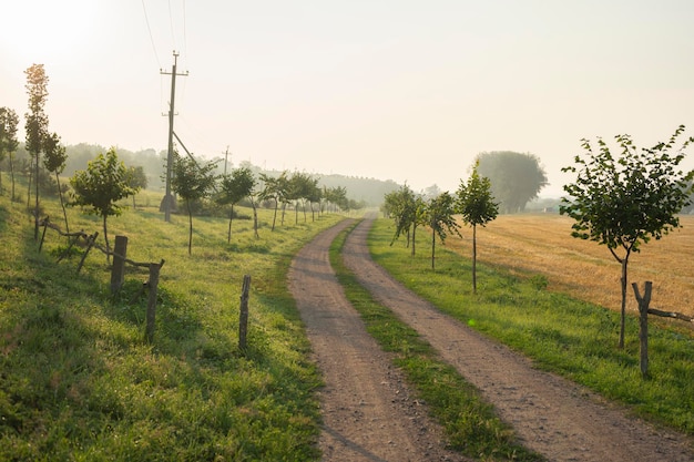 Onverharde weg