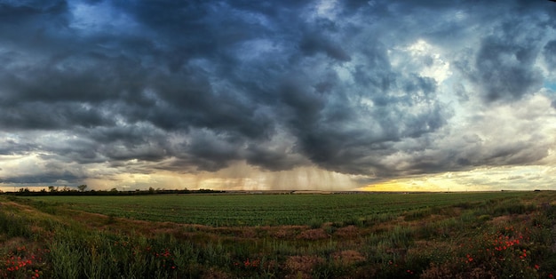 Onweer over een groen veld met klaprozen op de voorgrond stroken regen in de verte en de zonnestralen vanuit het wolkenpanorama