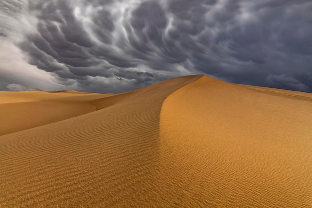 Onweerswolken boven zandduinen in de woestijn Sahara Desert