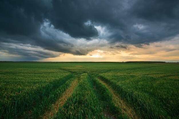 Onweerswolken dramatische donkere lucht boven het landelijke veldlandschap