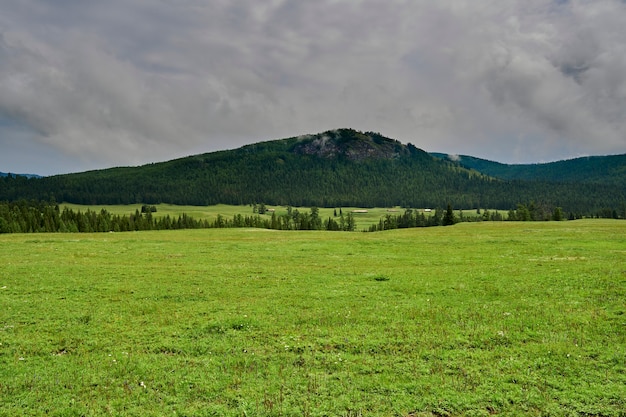 Foto onweerswolken in de bergen. alpenweiden in de bergen. altai