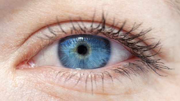 Oog met een blauwe leerlingclose-up