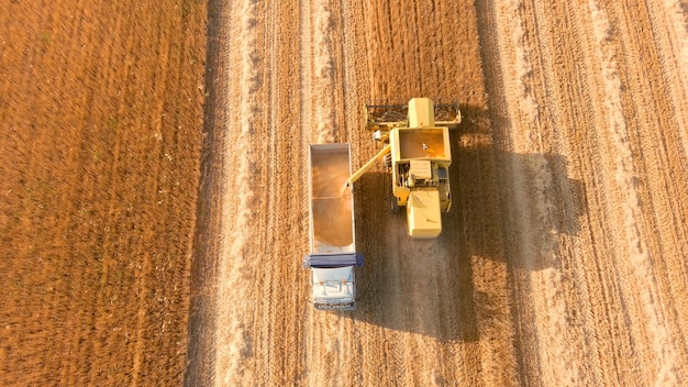 Oogst Combinator op het tarweveld Luchtfoto