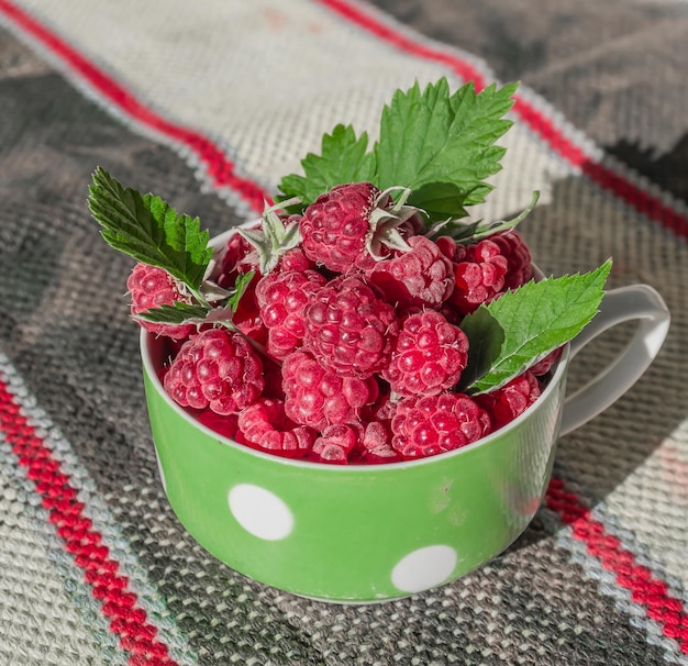 Oogst rijpe frambozen in de natuur