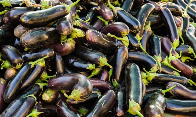 Oogst van aubergines ligt op een stapel Biologische groenten Oogsten van aubergine Landbouwgewassen Selectieve focus