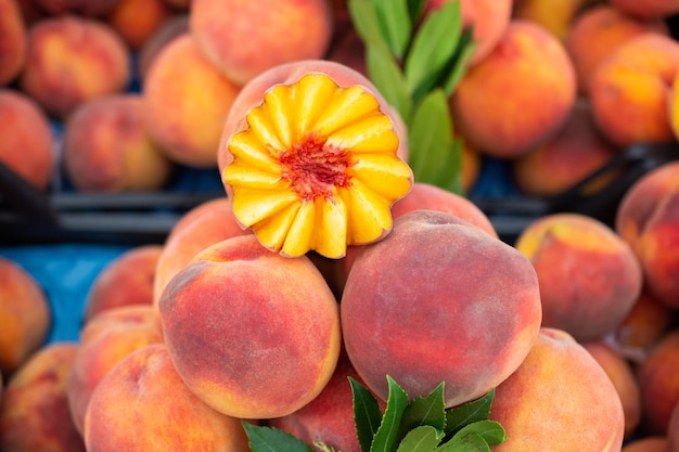 Oogst van verse smakelijke perziken fruit bij boeren Verkoop van landbouwproducten op de markt