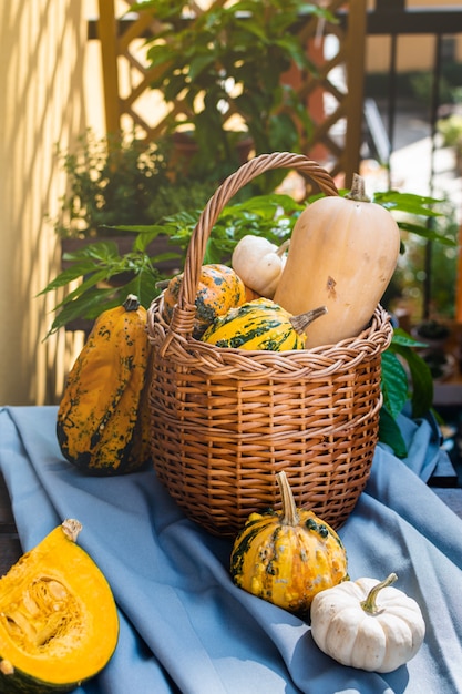 Oogstende rieten mand met biologisch pompoenenassortiment