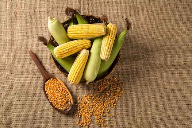 Foto oor van graan, onthullende gele kernels