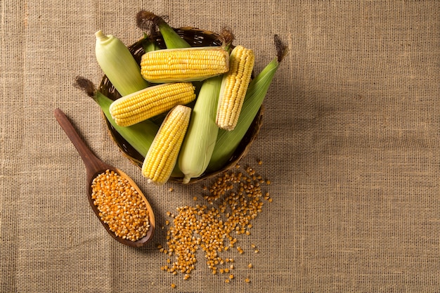 Foto oor van graan, onthullende gele kernels