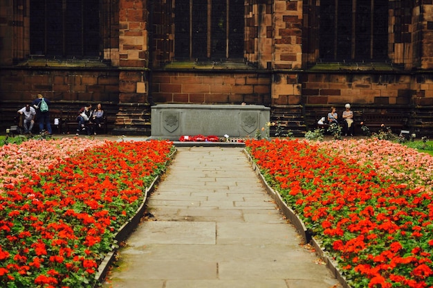 Foto oorlogsmonument te midden van bloemen in de tuin van de kathedraal van chester