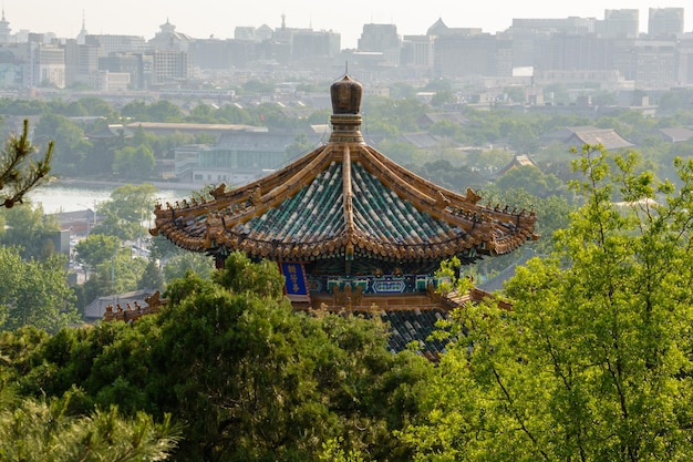 Oostelijke Pagode Peking De Schoonheid van het Oosten Houten ornament