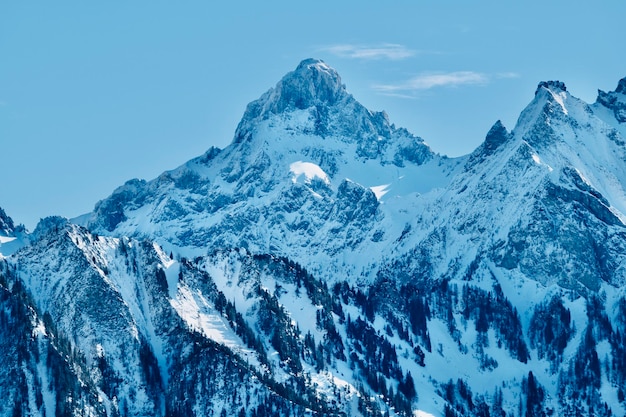 Oostenrijk besneeuwde berg in de winter