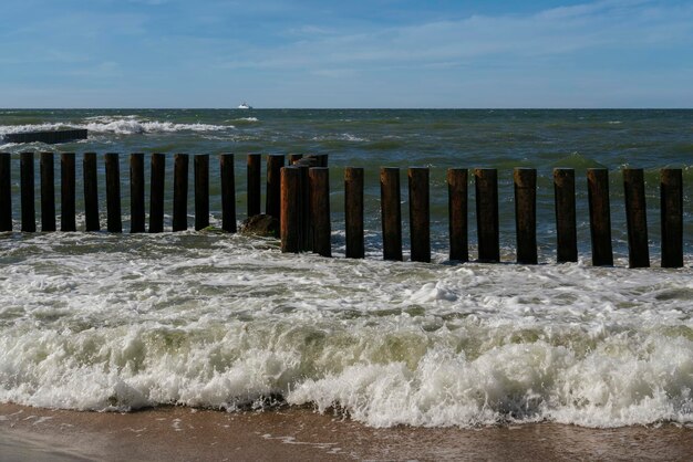 Oostzee en houten golfbrekers op een zonnige zomerdag Svetlogorsk Kaliningrad regio Rusland