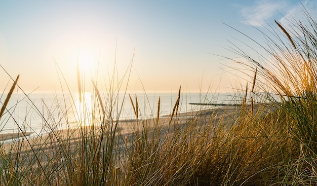 Oostzee over zandduinen met uitzicht op de oceaan zonsondergang zomeravond