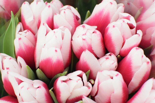 Op de bloemenmarkt worden op 8 maart prachtige veelkleurige lentetulpen verkocht