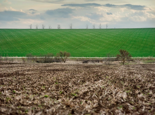 Op de voorgrond grote stukken grond van een omgeploegd veld, op de achtergrond een groen veld