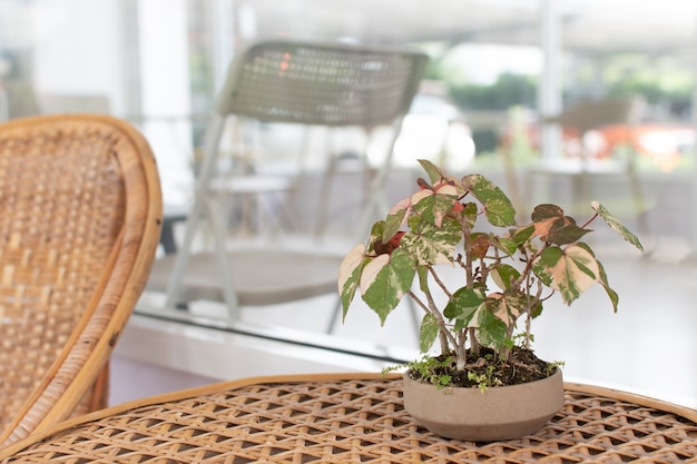 Op een geweven houten tafel staat een kleine plantenpot.