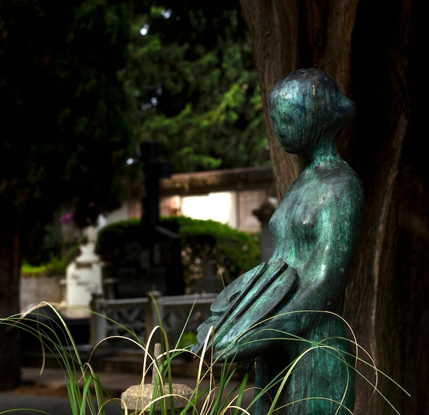 Op een kerkhof staat een standbeeld van een vrouw.